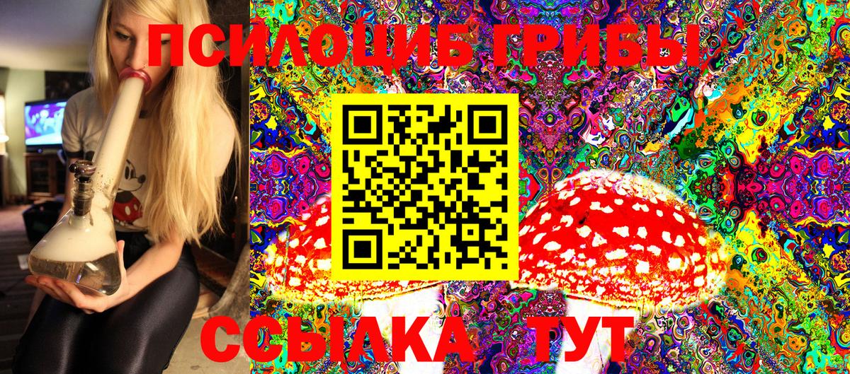 Галлюциногенные грибы Psilocybine cubensis  Вход с VPN  Малоярославец 