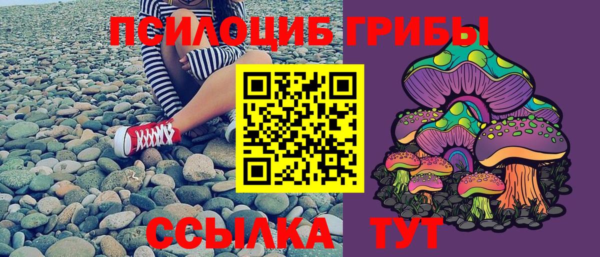 Галлюциногенные грибы GOLDEN TEACHER Малоярославец